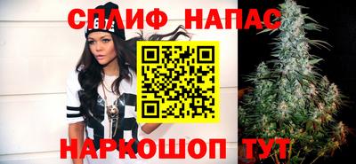 Альфа ПВП Ярославль