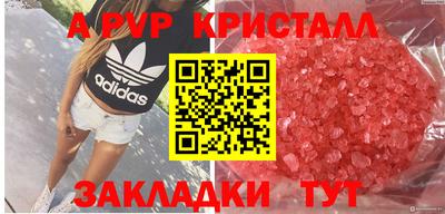 тгк Шахты