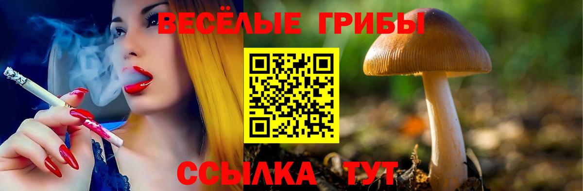 Галлюциногенные грибы мухоморы Вышний Волочёк